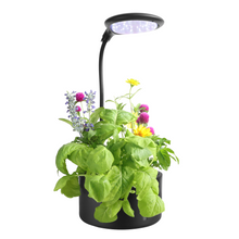 Load image into Gallery viewer, 2 X LITE GARDEN | Small but mighty