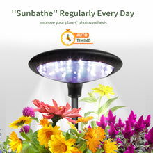 Load image into Gallery viewer, 2 X LITE GARDEN | Small but mighty