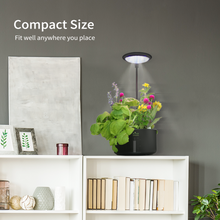 Load image into Gallery viewer, LITE GARDEN | Small but mighty