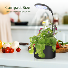 Load image into Gallery viewer, 2 X LITE GARDEN | Small but mighty