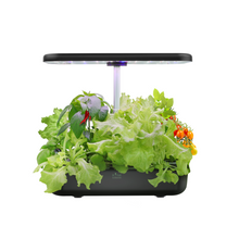 Load image into Gallery viewer, FAMILY GARDEN | Harvest More with Equal Time