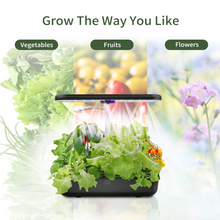 Load image into Gallery viewer, 2 X FAMILY GARDEN | Harvest More with Equal Time