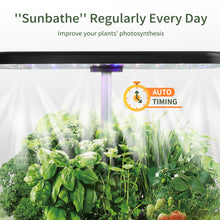 Load image into Gallery viewer, FAMILY GARDEN | Harvest More with Equal Time