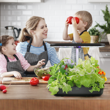 Load image into Gallery viewer, 2 X FAMILY GARDEN | Harvest More with Equal Time