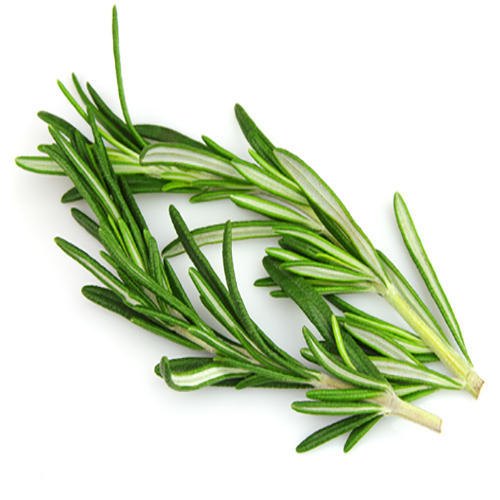 Rosemary Seed